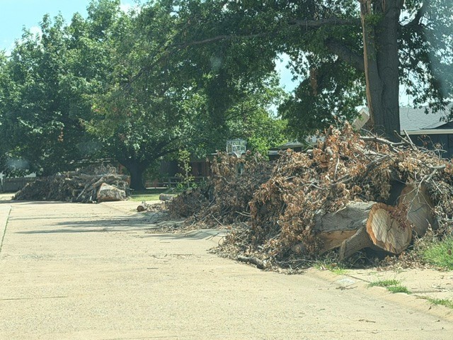 City Limb Pickup Completed - News Image